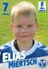 Elias Miertsch