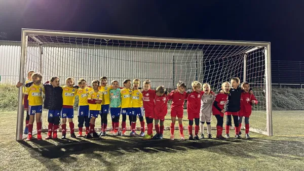 03.11.2023 SG Rot-Weiß Thalheim vs. Dessauer SV 97