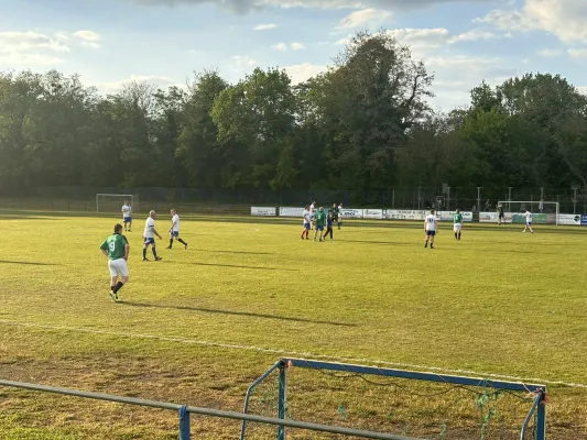 10.05.2024 Dessauer SV 97 AH vs. BSG ZAB Dessau AH