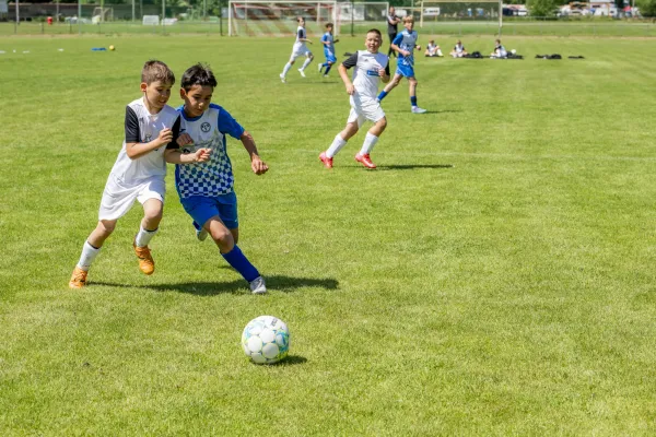 01.06.2025 FC Stahl Aken vs. Dessauer SV 97