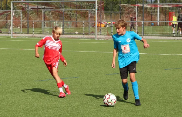 23.08.2025 Hallescher FC vs. Dessauer SV 97