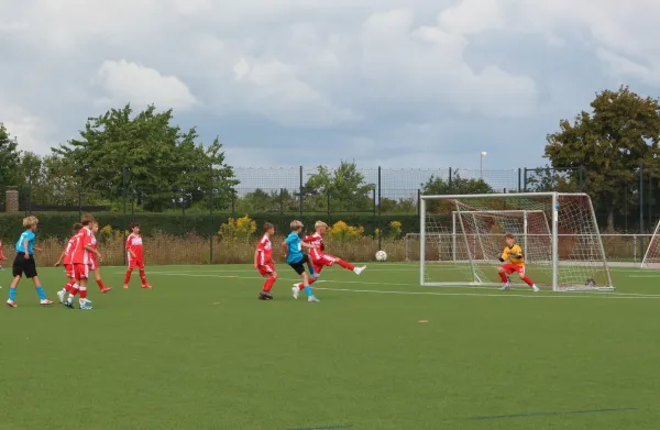 23.08.2025 Hallescher FC vs. Dessauer SV 97