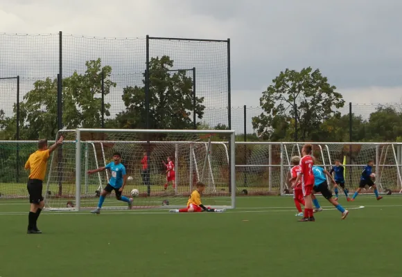 23.08.2025 Hallescher FC vs. Dessauer SV 97