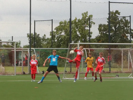 23.08.2025 Hallescher FC vs. Dessauer SV 97