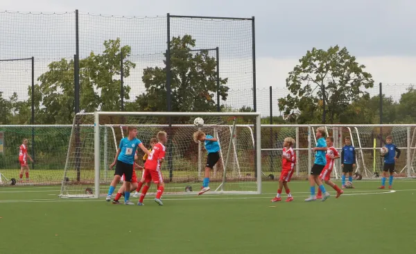 23.08.2025 Hallescher FC vs. Dessauer SV 97