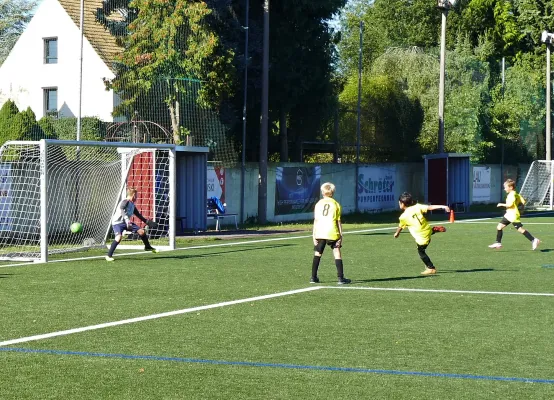 31.08.2025 Dessauer SV 97 II vs. Vorfläming Nedlitz