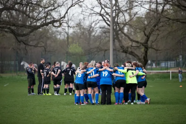 17.04.2026 SG Empor Waldersee vs. Dessauer SV 97 e.V.