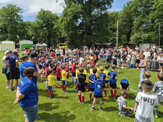 20.06.2026 SG Empor Waldersee vs. Dessauer SV 97 e.V.