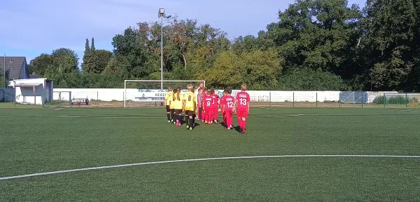 29.08.2026 Dessauer SV 97 e.V. II vs. TSV Rot-Weiß Zerbst II