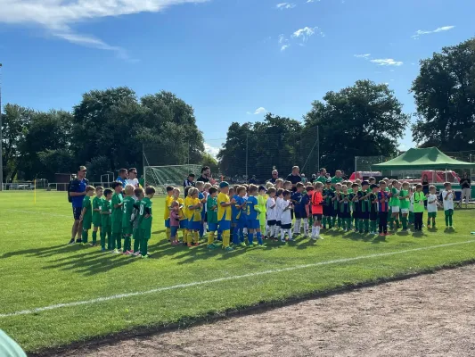 29.08.2026 SV Grün-Weiß Wörlitz vs. Dessauer SV 97 e.V.