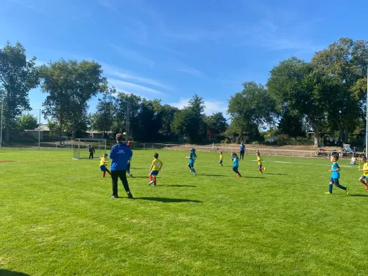 27.09.2026 VfB Gröbzig vs. Dessauer SV 97 e.V.