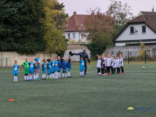 17.10.2026 Dessauer SV 97 e.V. II vs. Germania Roßlau II