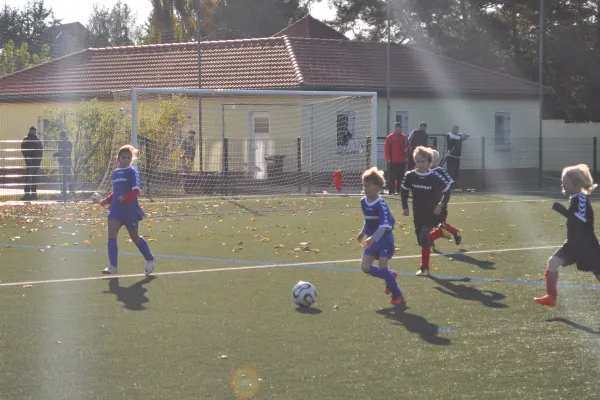 11.10.2015 Dessauer SV 97 vs. SV Dessau 05