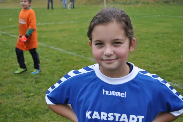 07.11.2015 SG Abus Dessau vs. Dessauer SV 97