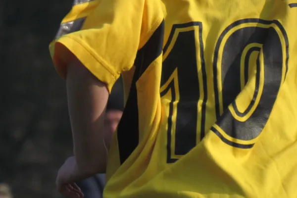 28.02.2016 Dessauer SV 97 vs. SV Mildensee 1915