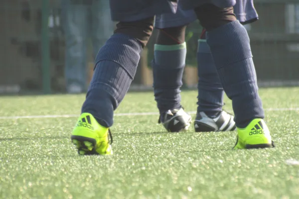 28.02.2016 Dessauer SV 97 vs. SV Mildensee 1915