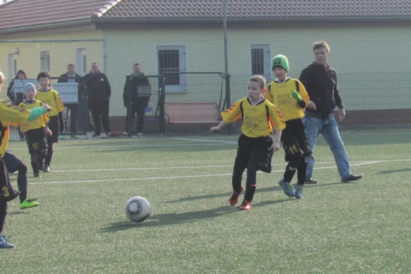 28.02.2016 Dessauer SV 97 vs. SV Mildensee 1915