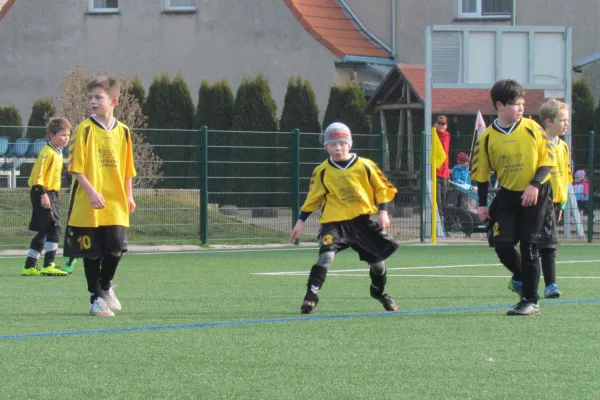 28.02.2016 Dessauer SV 97 vs. SV Mildensee 1915