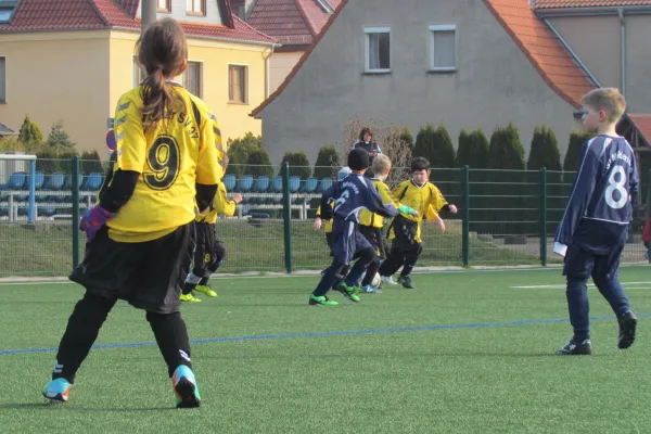 28.02.2016 Dessauer SV 97 vs. SV Mildensee 1915