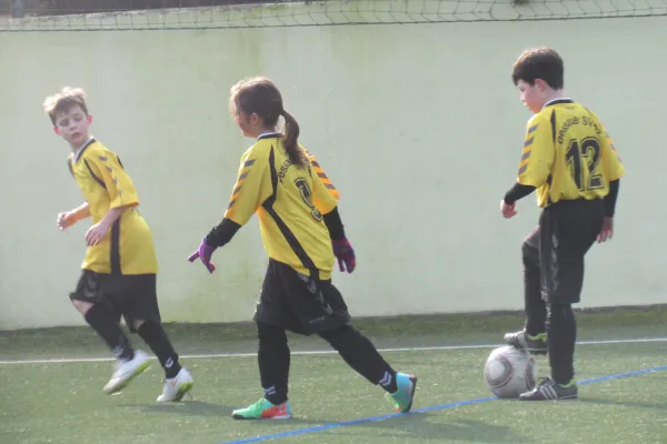 28.02.2016 Dessauer SV 97 vs. SV Mildensee 1915