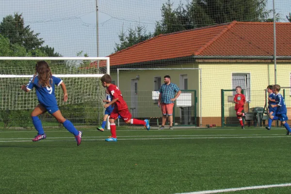 26.08.2015 Dessauer SV 97 vs. SV Mildensee 1915