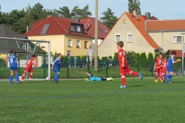 26.08.2015 Dessauer SV 97 vs. SV Mildensee 1915