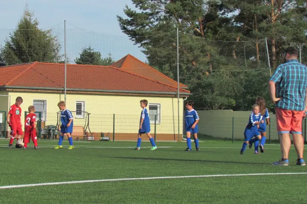 26.08.2015 Dessauer SV 97 vs. SV Mildensee 1915