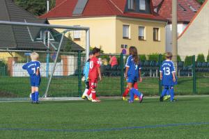 26.08.2015 Dessauer SV 97 vs. SV Mildensee 1915