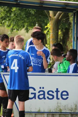 29.05.2016 FV 1920 Merzien vs. Dessauer SV 97