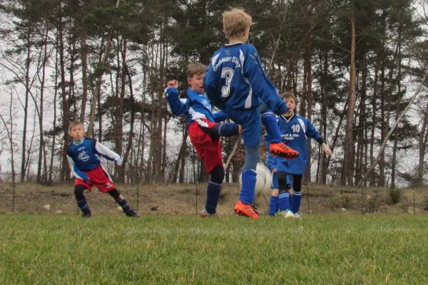 20.03.2016 SV Blau-Rot Coswig vs. Dessauer SV 97