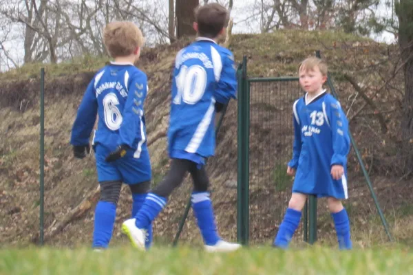 20.03.2016 SV Blau-Rot Coswig vs. Dessauer SV 97