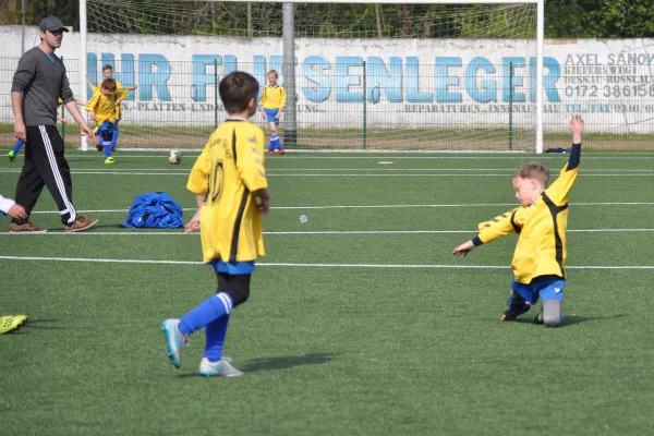 01.05.2016 Dessauer SV 97 vs. SV Blau-Rot Coswig