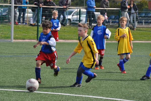 01.05.2016 Dessauer SV 97 vs. SV Blau-Rot Coswig