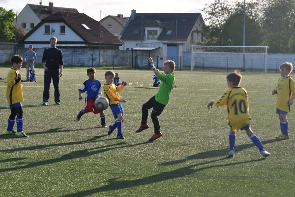 04.05.2016 Dessauer SV 97 vs. SV Blau-Rot Coswig