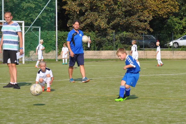 11.09.2016 SV Dessau 05 vs. Dessauer SV 97