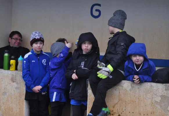 19.03.2017 Germania Roßlau vs. Dessauer SV 97