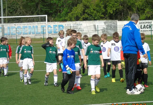 14.05.2017 Dessauer SV 97 vs. SV Grün-Weiß Wörlitz