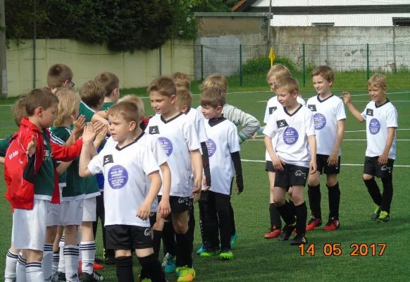 14.05.2017 Dessauer SV 97 vs. SV Grün-Weiß Wörlitz