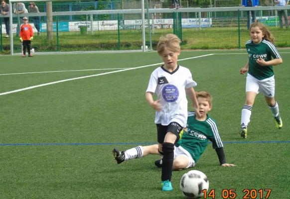 14.05.2017 Dessauer SV 97 vs. SV Grün-Weiß Wörlitz