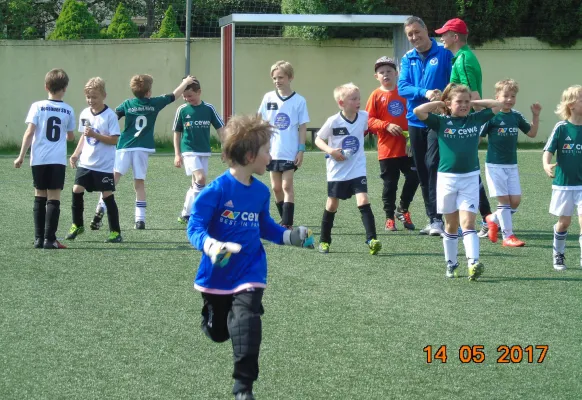 14.05.2017 Dessauer SV 97 vs. SV Grün-Weiß Wörlitz