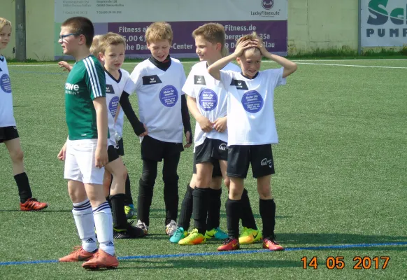 14.05.2017 Dessauer SV 97 vs. SV Grün-Weiß Wörlitz