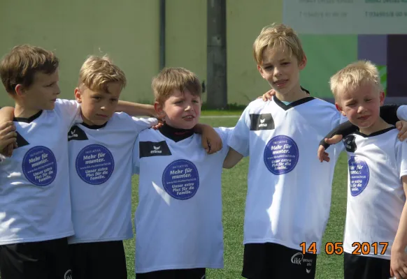 14.05.2017 Dessauer SV 97 vs. SV Grün-Weiß Wörlitz