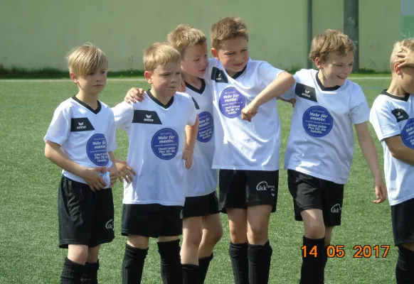 14.05.2017 Dessauer SV 97 vs. SV Grün-Weiß Wörlitz