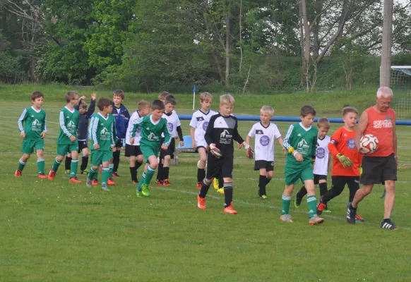 20.05.2017 TSV Mosigkau 1894 vs. Dessauer SV 97