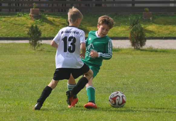 20.05.2017 TSV Mosigkau 1894 vs. Dessauer SV 97