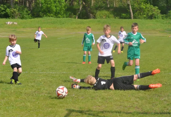 20.05.2017 TSV Mosigkau 1894 vs. Dessauer SV 97