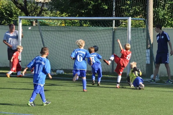 24.08.2016 Dessauer SV 97 vs. TSV Mosigkau 1894