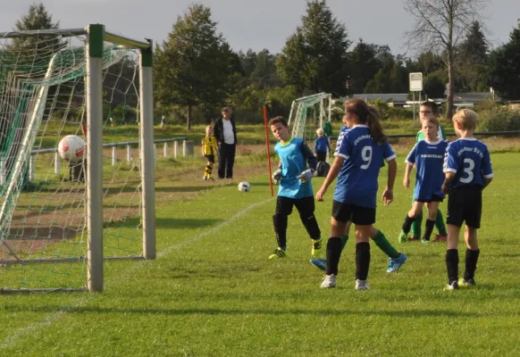 07.09.2017 SV Grün-Weiß Wörlitz vs. Dessauer SV 97