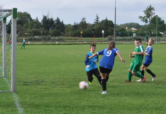 07.09.2017 SV Grün-Weiß Wörlitz vs. Dessauer SV 97