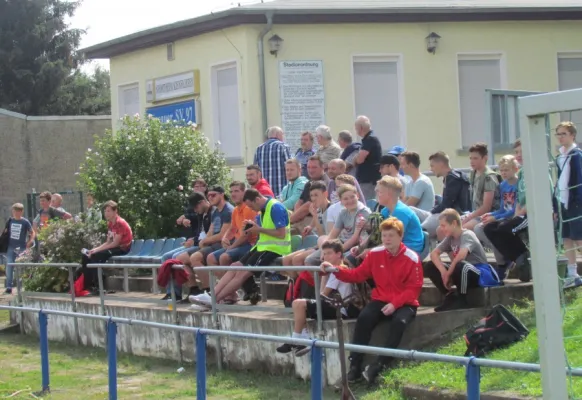 20.08.2017 Dessauer SV 97 III vs. SG Dobritz/Garitz II